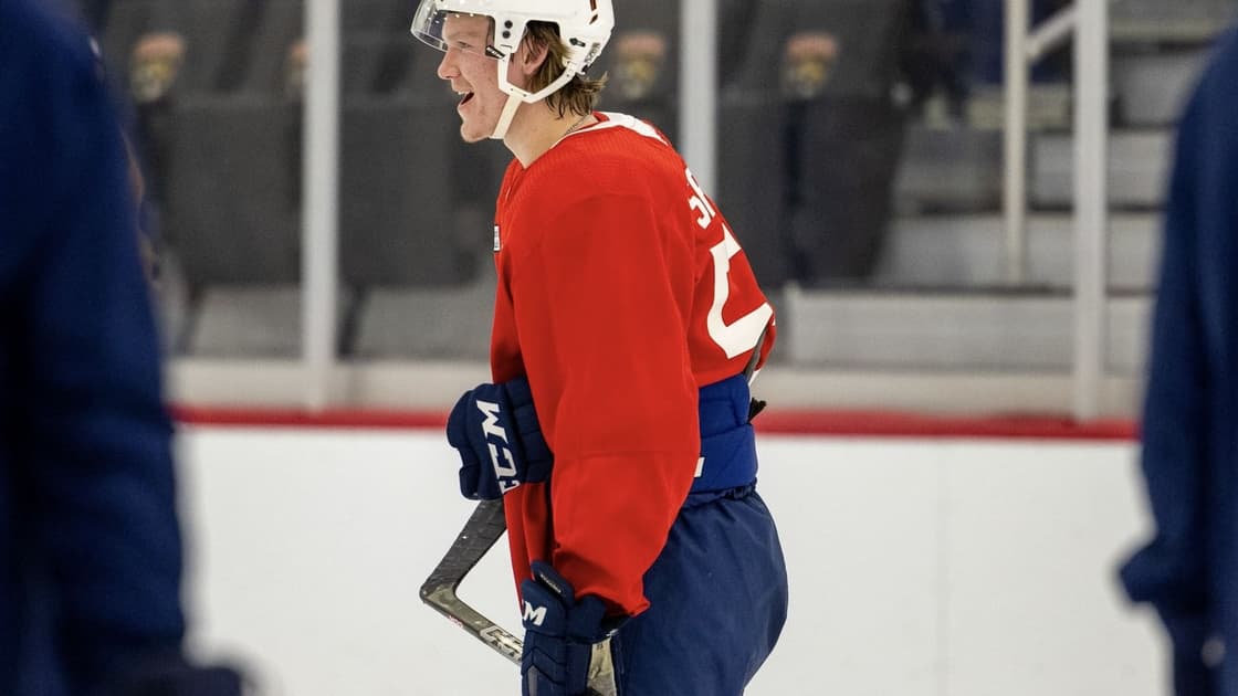 Florida panthers