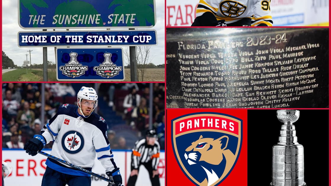 Florida panthers