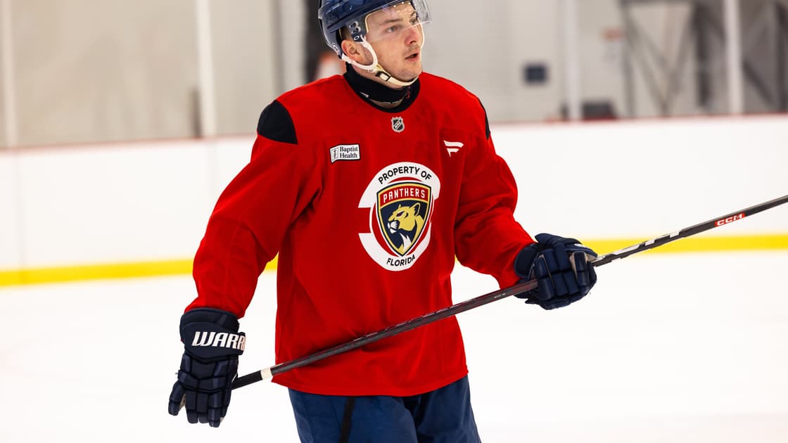 Florida panthers