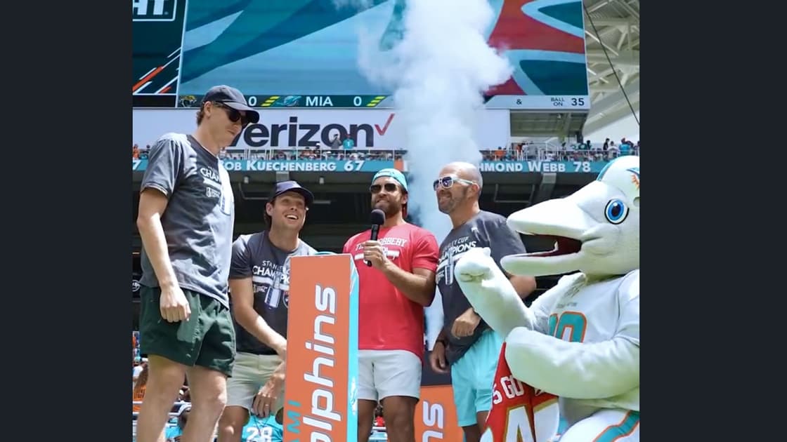 Miami dolphins