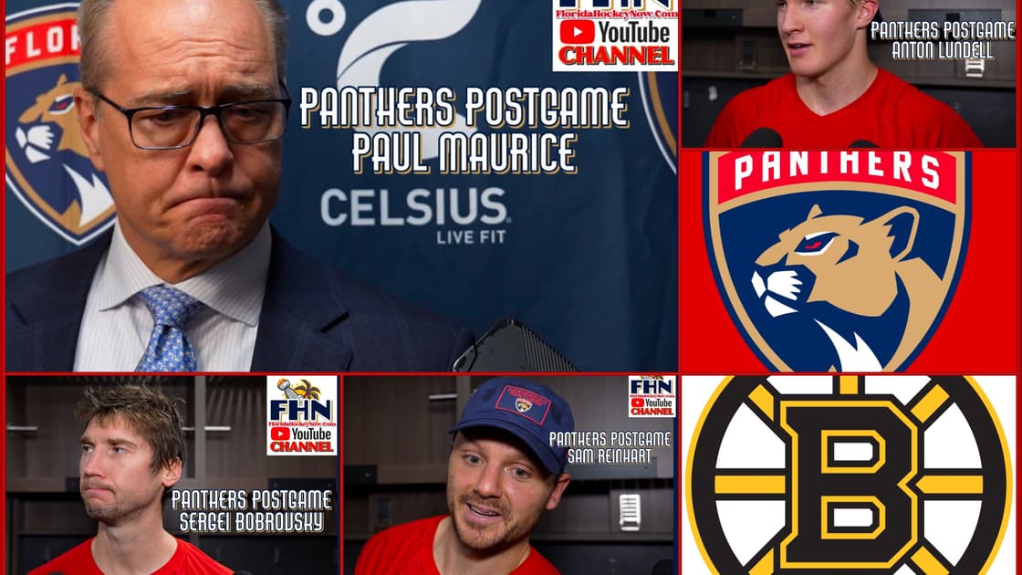 Florida panthers