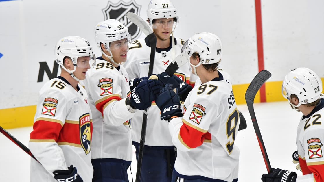 Florida panthers