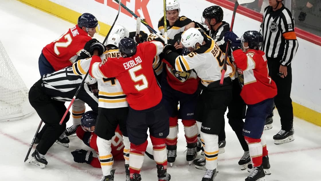 Panthers bruins