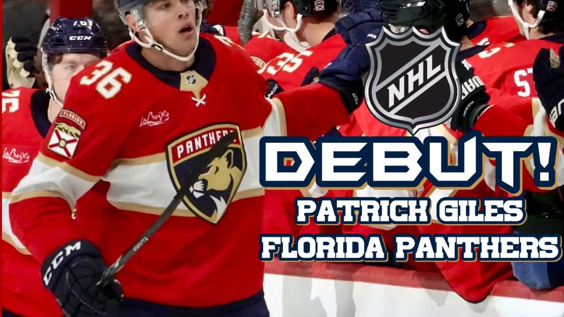 Panthers sabres