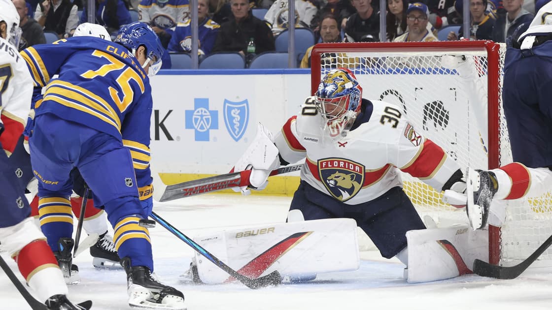 Florida panthers