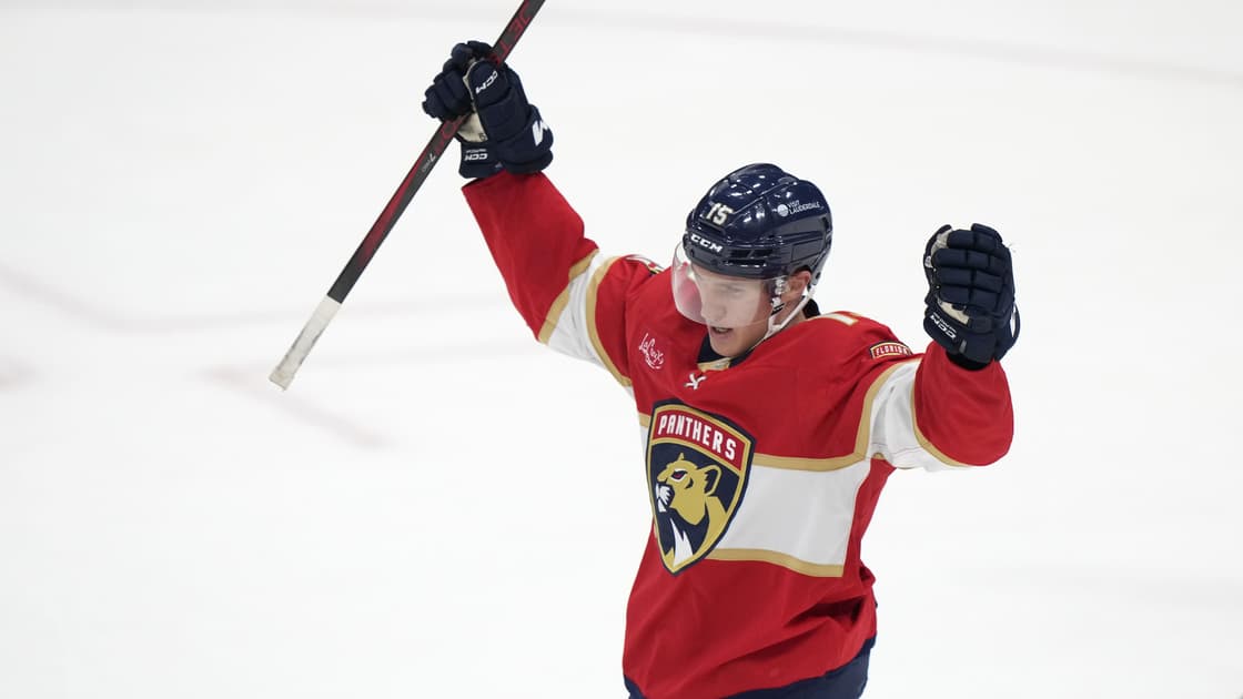 Florida panthers