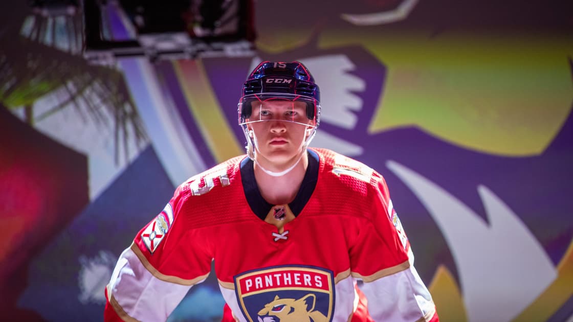 Florida panthers