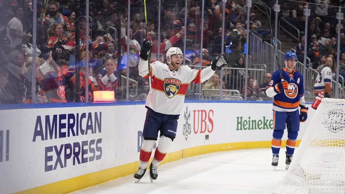 Florida panthers