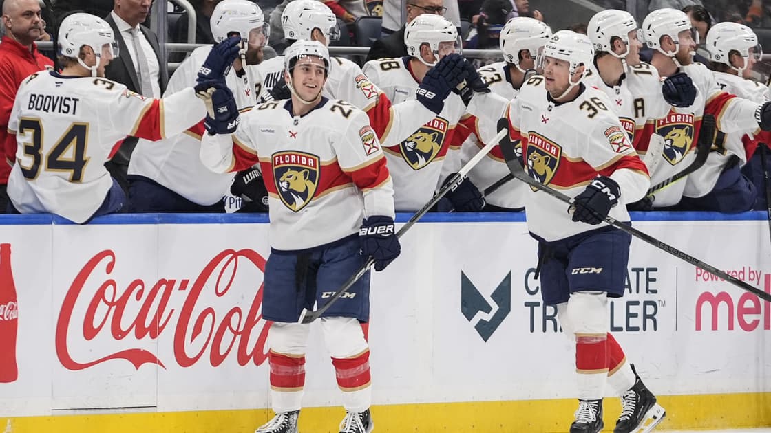 Florida panthers
