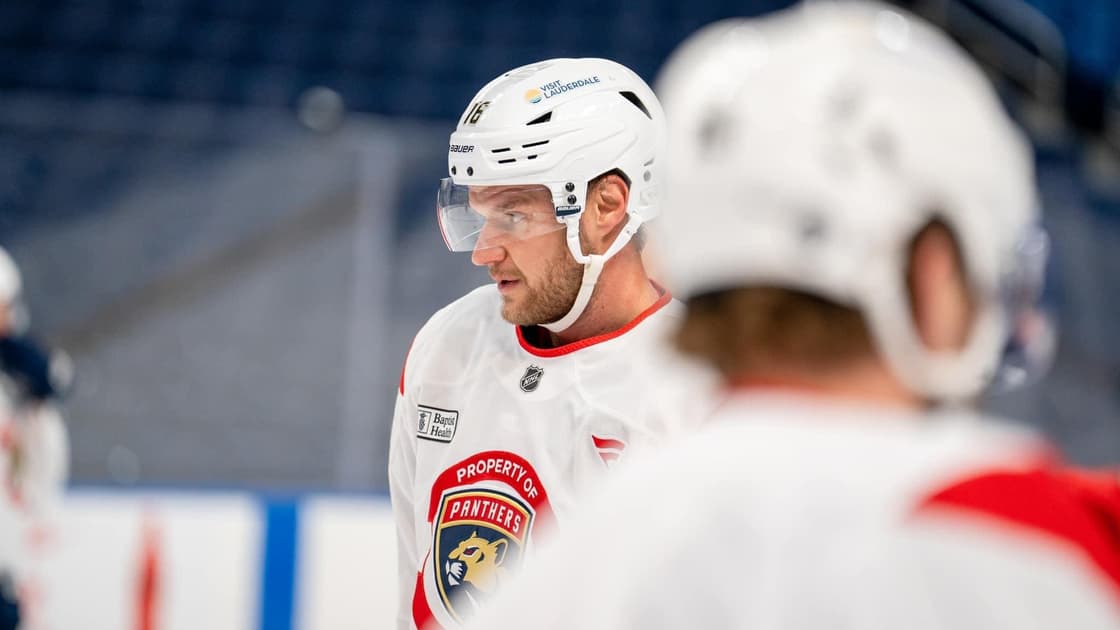 Florida panthers