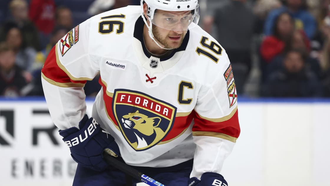 Barkov panthers