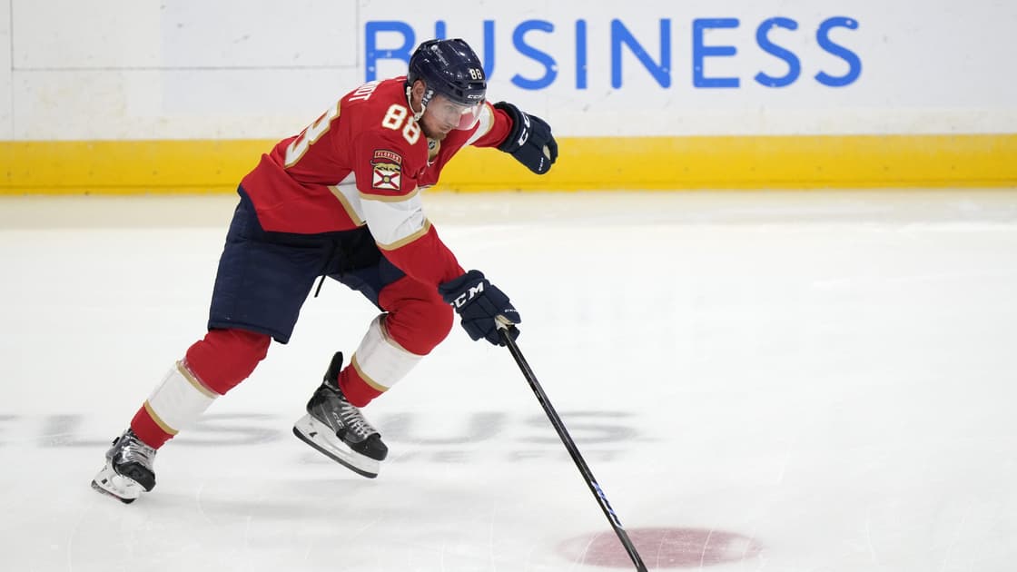 Florida panthers