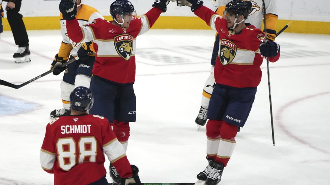 Florida panthers