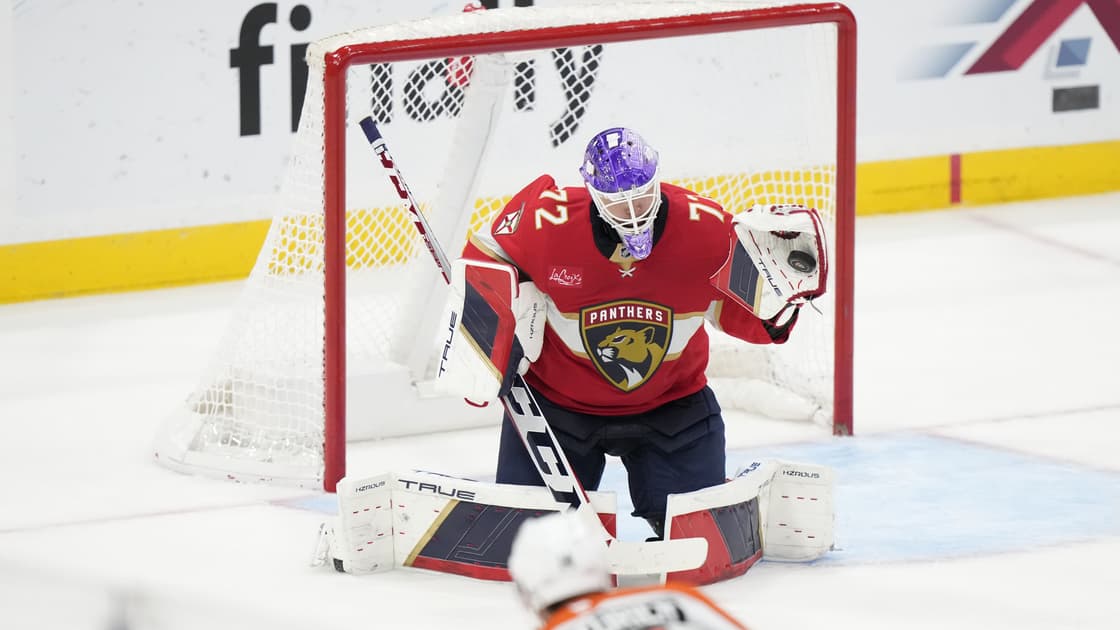 Florida panthers