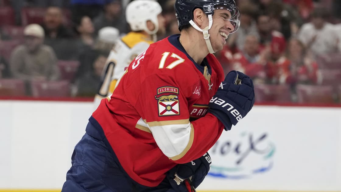 Florida panthers