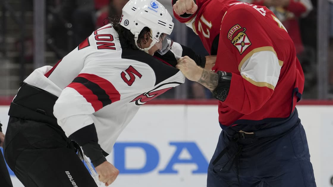 Florida panthers
