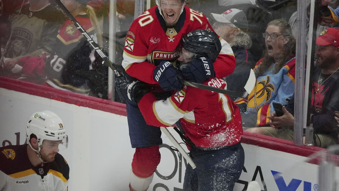 Florida panthers