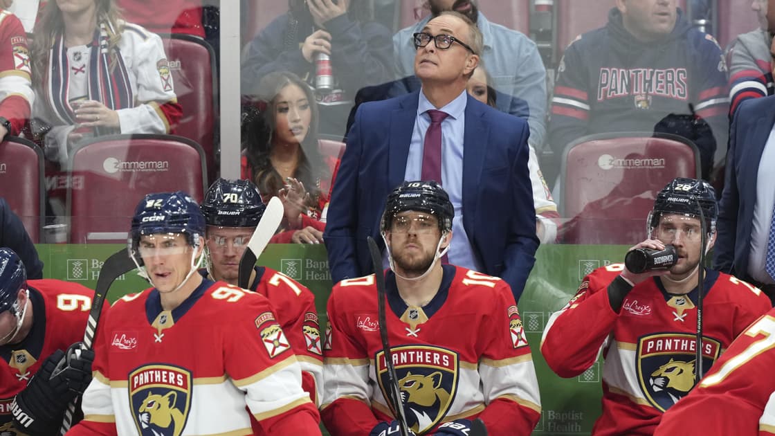 Florida panthers