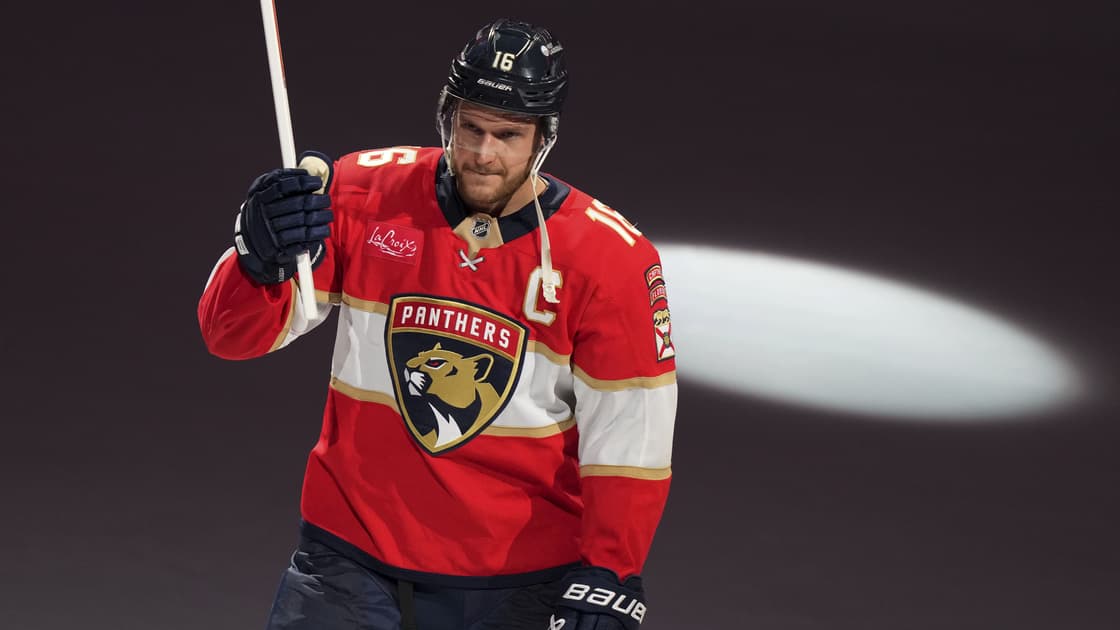 Florida panthers
