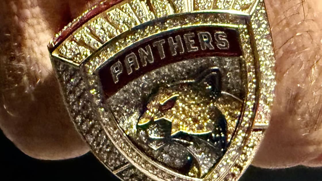 Florida panthers