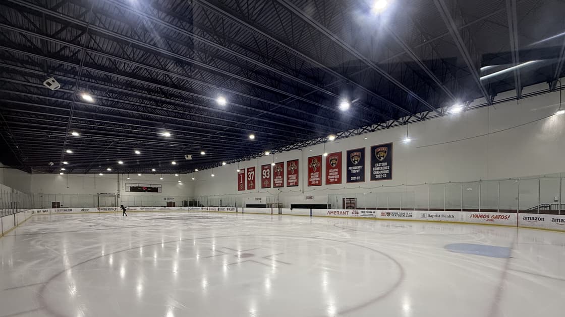 Florida panthers