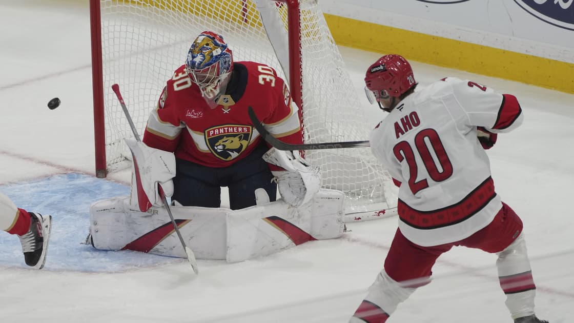 Florida panthers