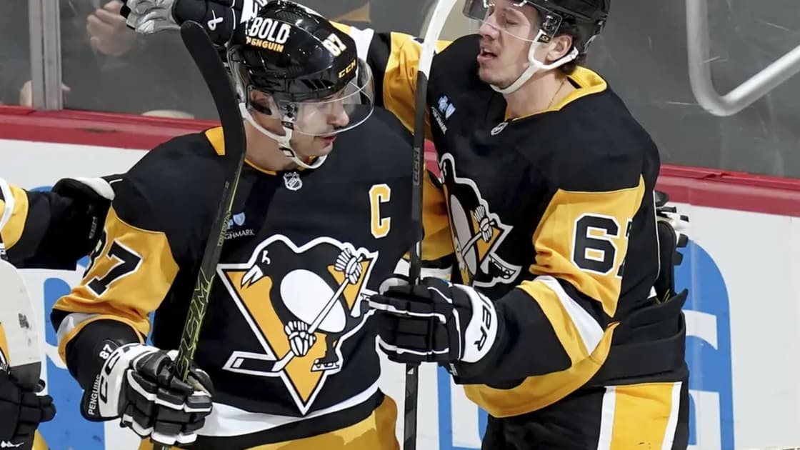 Penguins panthers