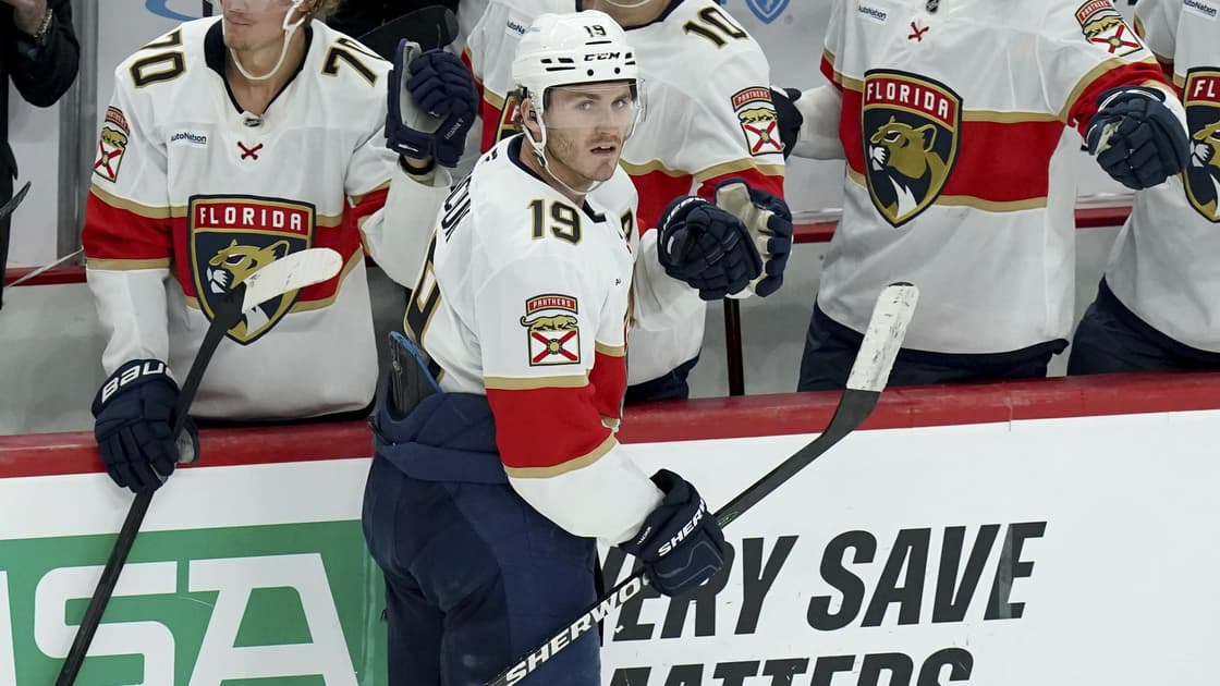Florida panthers