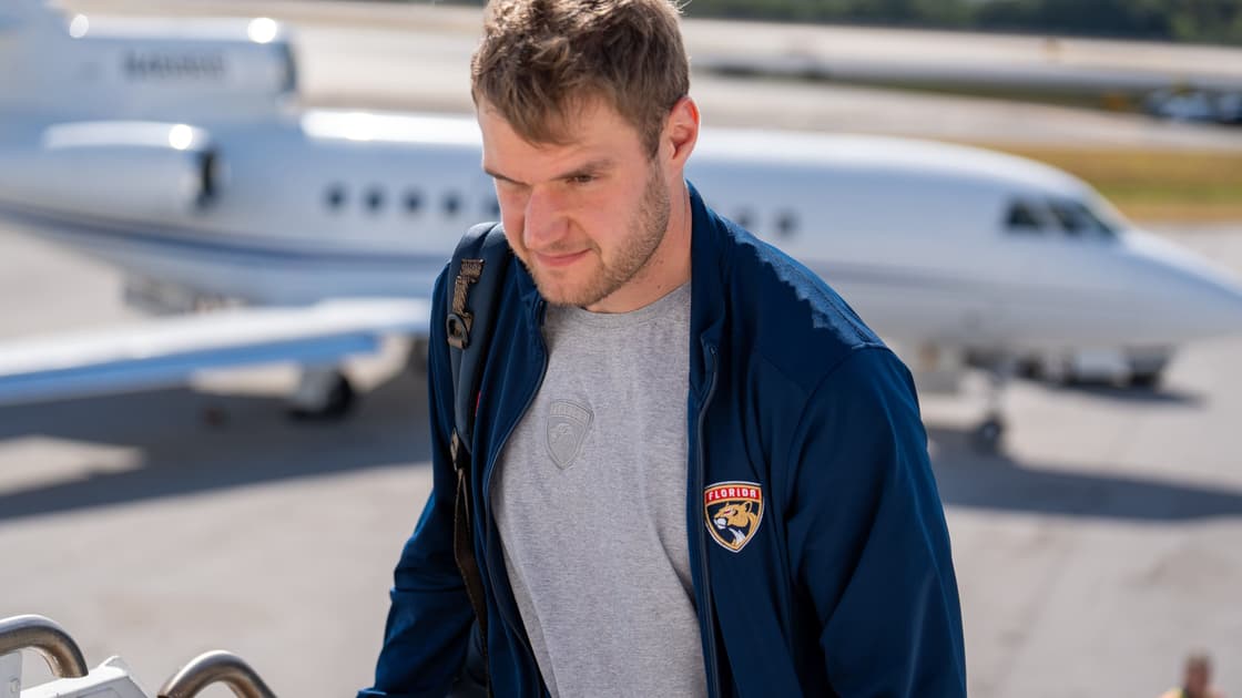 Florida panthers