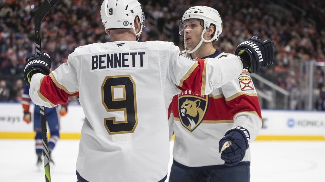 Florida panthers