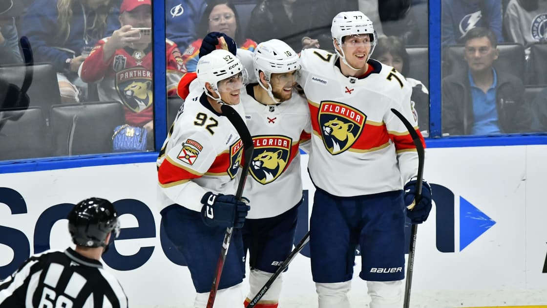 Florida panthers