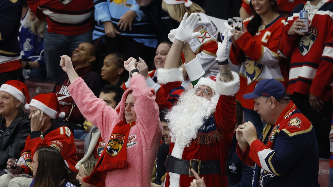 Florida panthers
