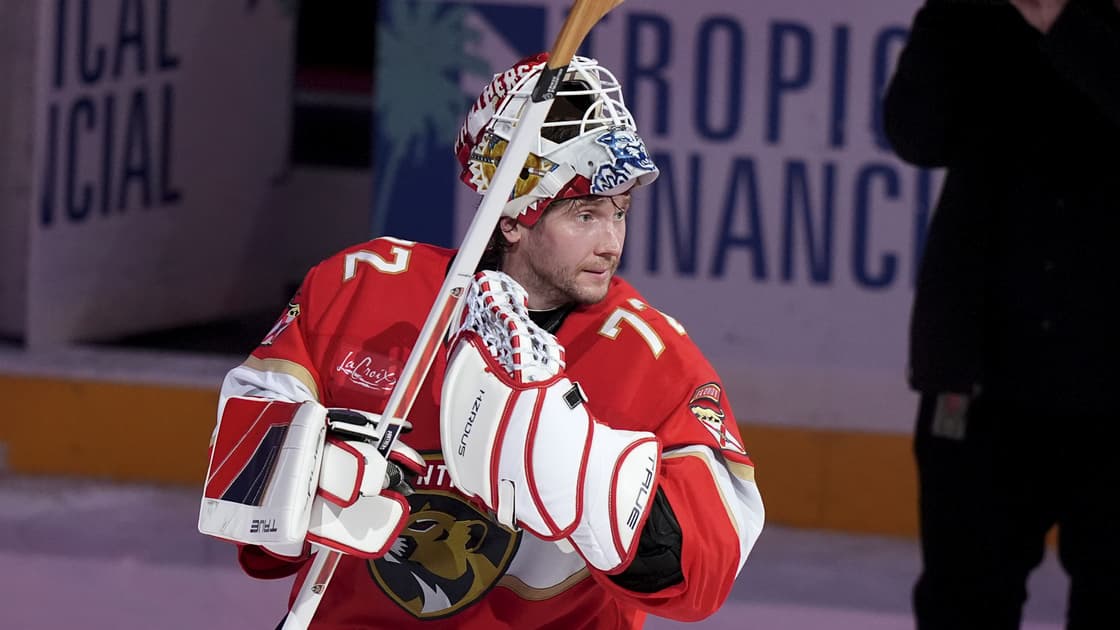 Florida panthers