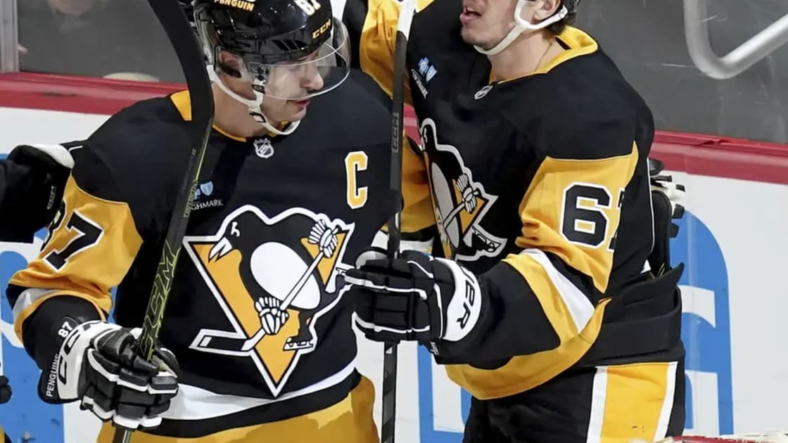 Penguins panthers