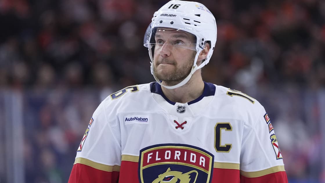 Florida panthers