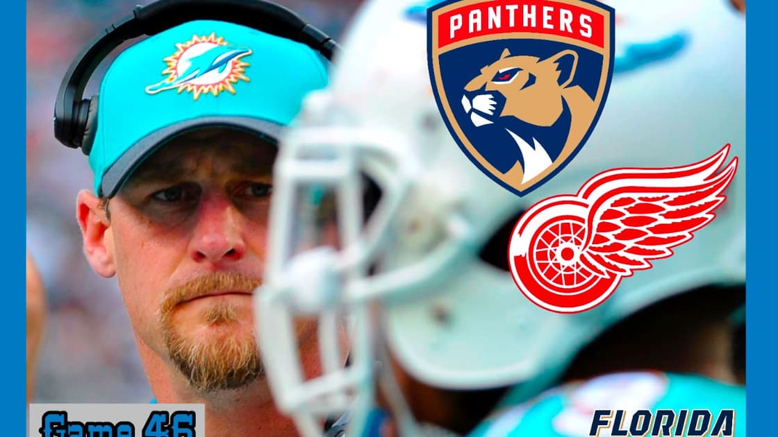 Panthers wings