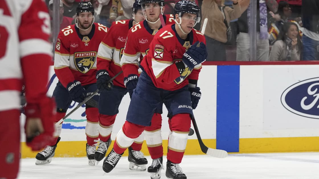 Florida panthers