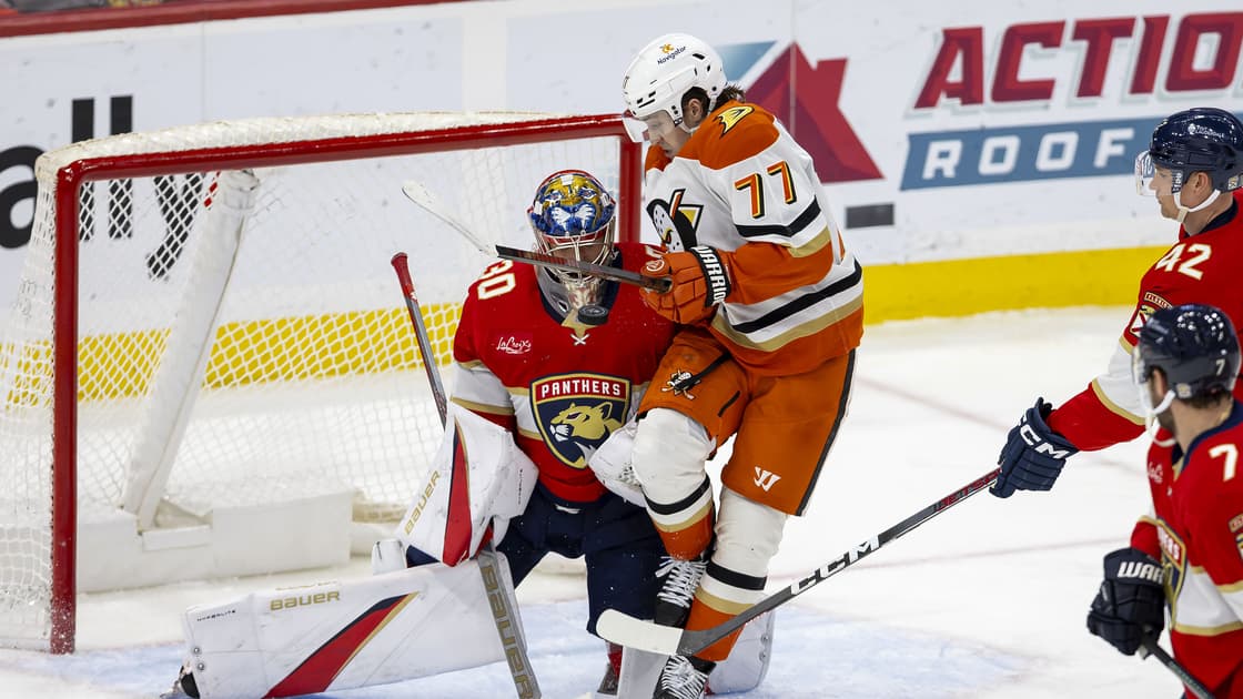 Florida panthers