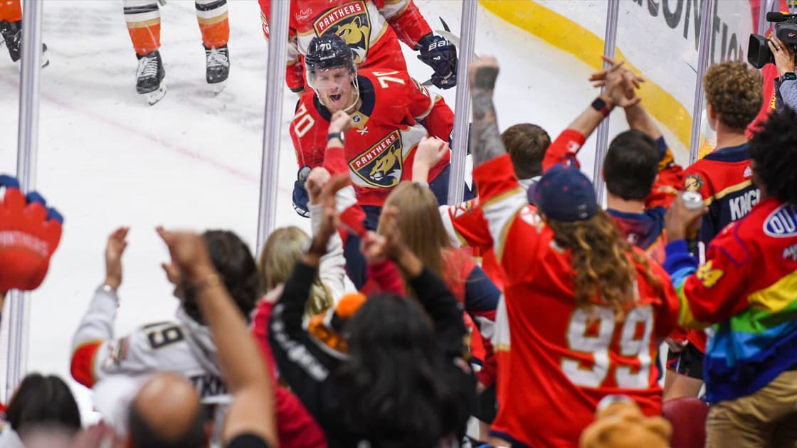 Florida panthers