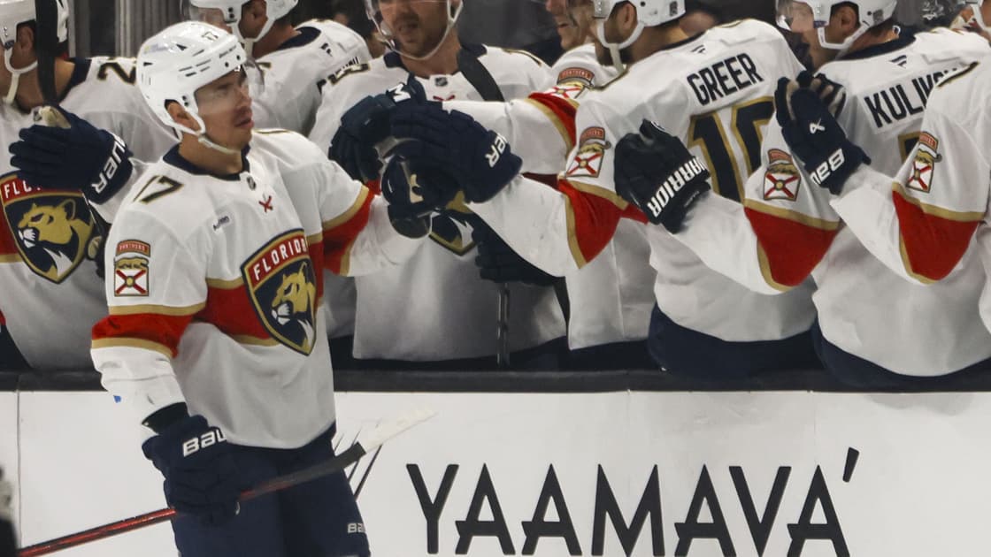 Florida panthers