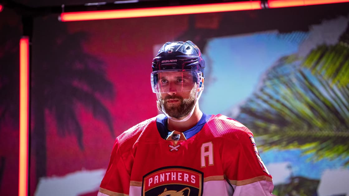 Panthers sharks