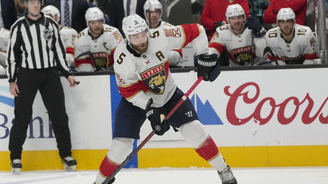 Florida panthers