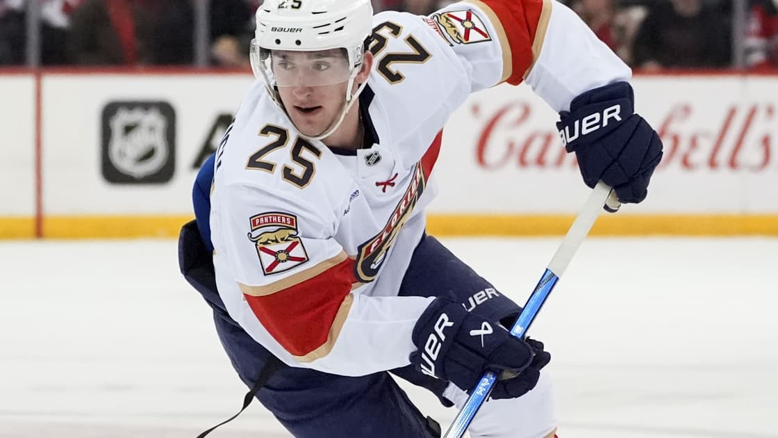 Florida panthers