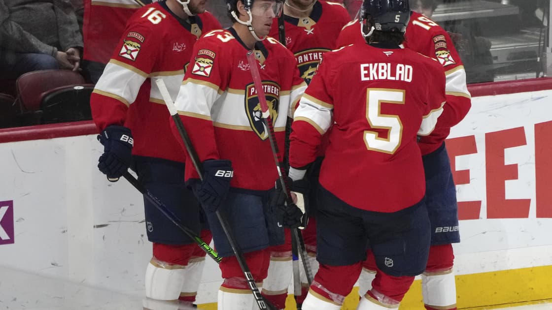 Florida panthers