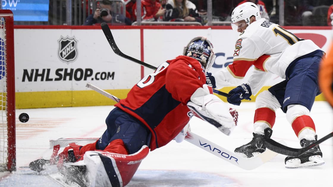 Florida panthers