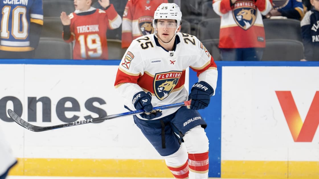 Florida panthers
