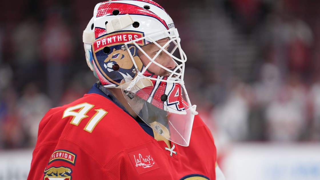 Florida panthers