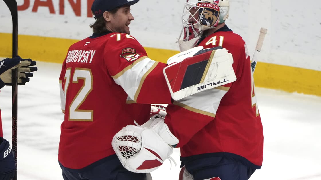 Florida panthers