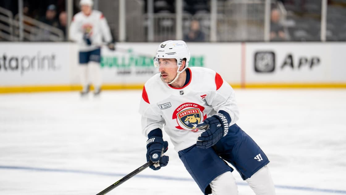 Marchand panthers