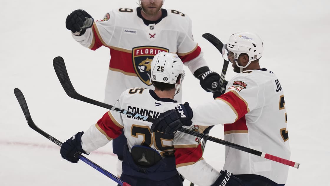 Florida panthers